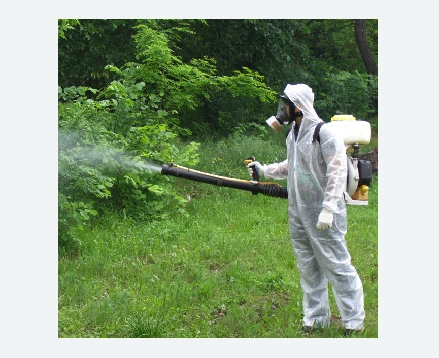 обработка территории от клещей в Кувшиново