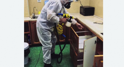 Уничтожение насекомых в квартире. Кувшиново