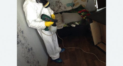 Обработка квартир от насекомых в Кувшиново