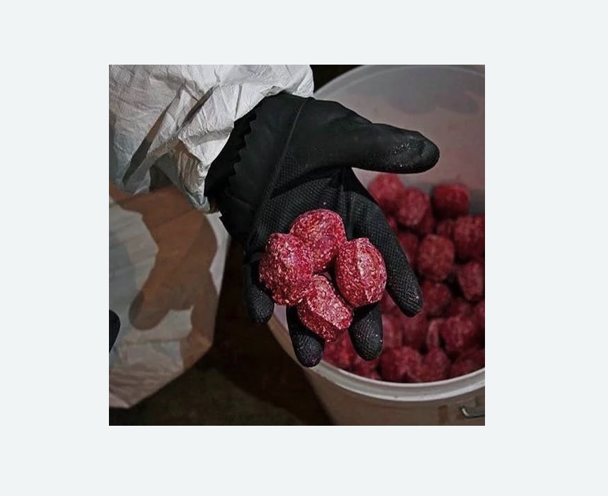 Обработка от крыс в Кувшиново