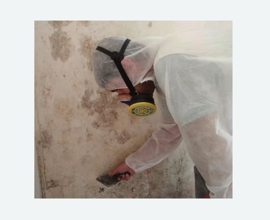 Обработка стен от плесени в Кувшиново