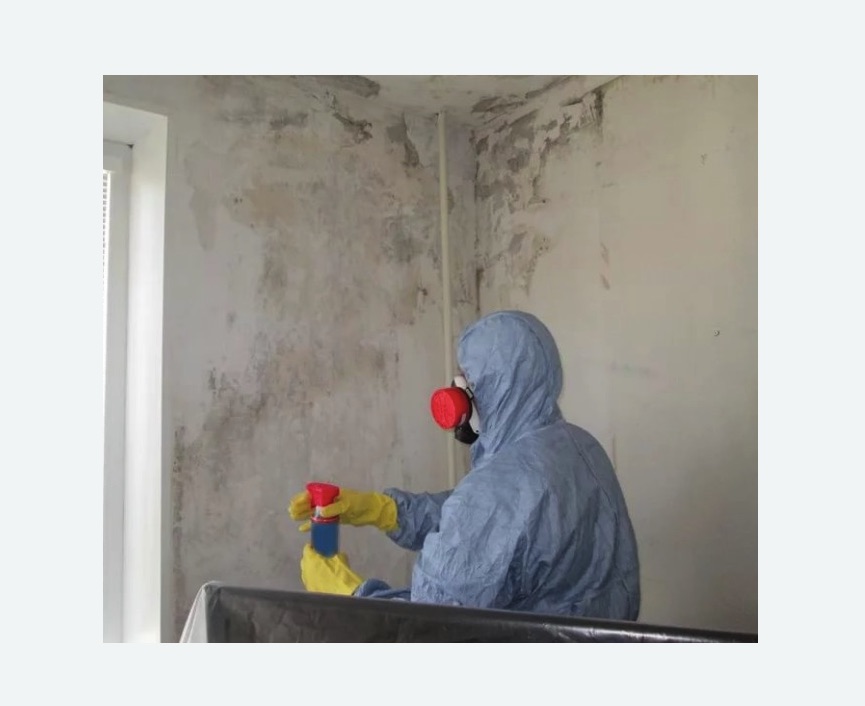 Удаление плесени в квартире в Кувшиново