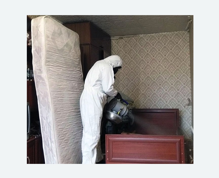 дезинфекция от клопов в Кувшиново