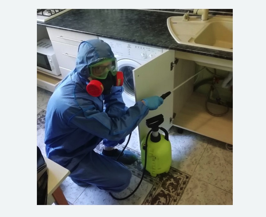 обработка от муравьев в квартире в Кувшиново