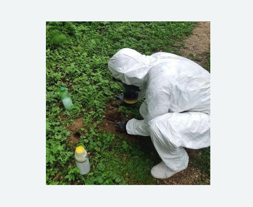 уничтожение кротов на участке в Кувшиново