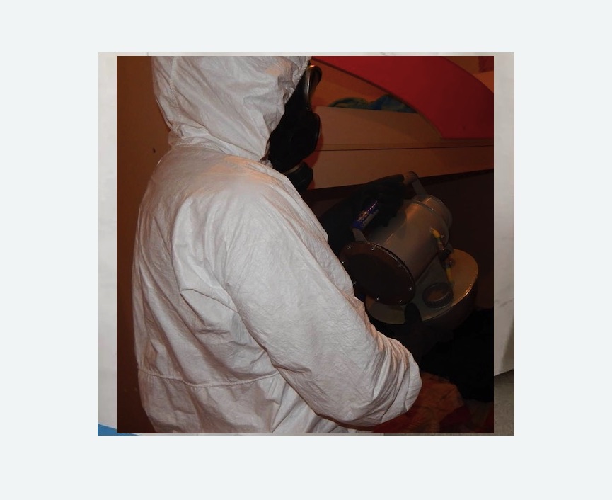 Дезинфекция от муравьев в Кувшиново